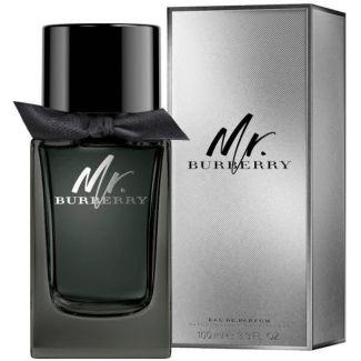 Burberry eau de parfum Mr. 100ml (minus folie)