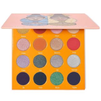 The magic mini by juvia's palette 16 ultra shades