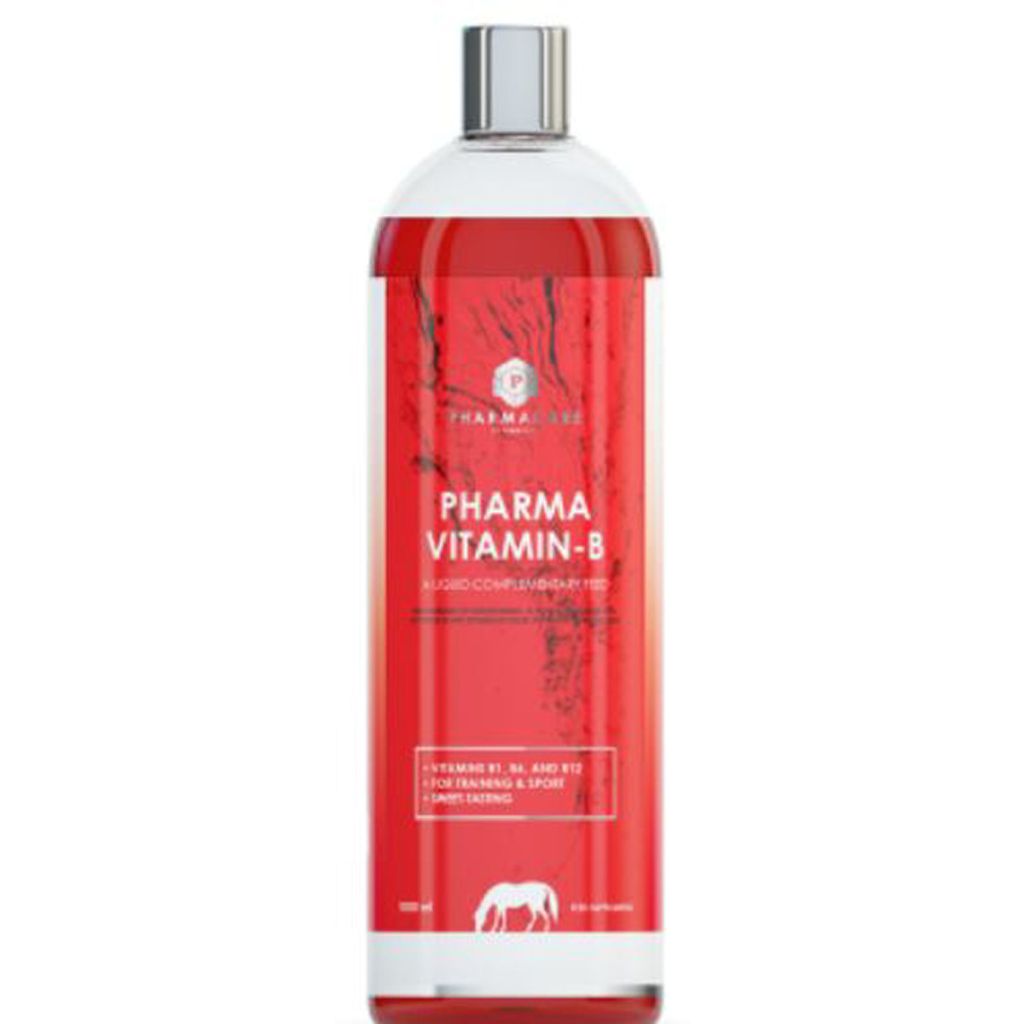 Pharmacare pharma vitamin-b a liquid complementary feed 1L